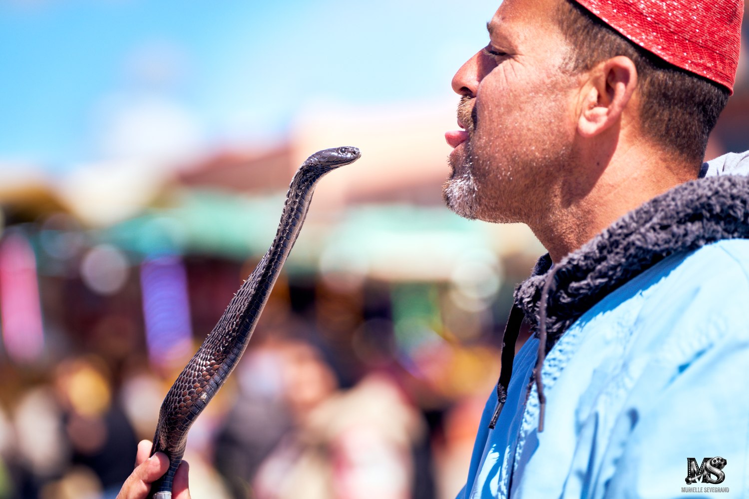 Le charmeur de serpent